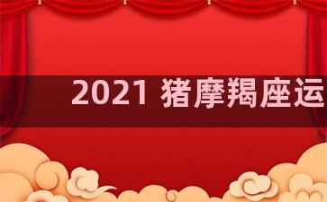 2021 猪摩羯座运势